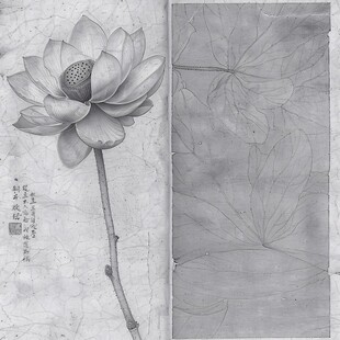 莲花工笔画