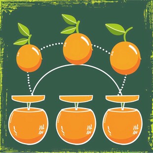砂糖橘插画设计