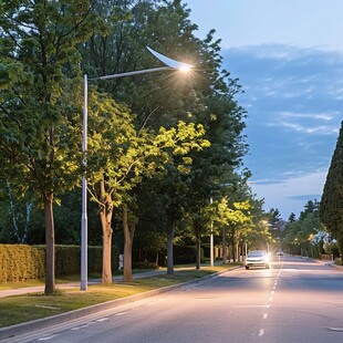 宽敞道路路灯绿化带