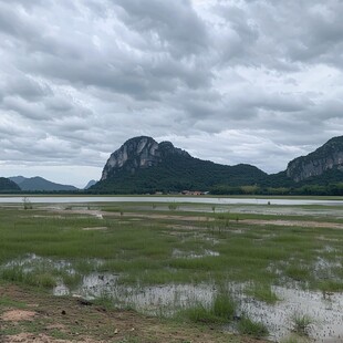 坝光湿地