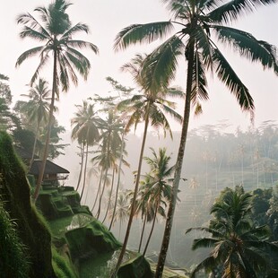 喀拉拉邦旅游