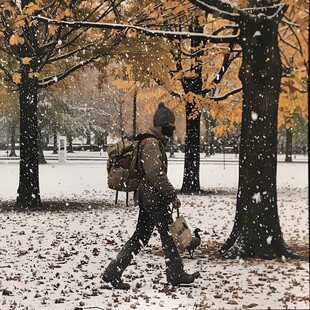 黄叶风雪中