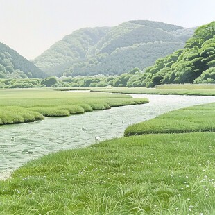 小田贯湿地