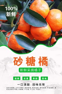 砂糖橘