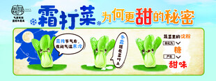 霜打菜 青菜