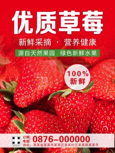 草莓海报
