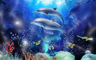 海洋世界