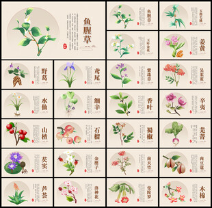 中药材图片