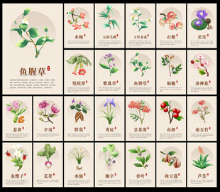 中药材图片