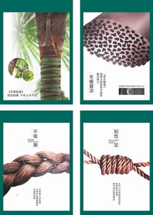 棕树