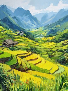 水稻梯田插画