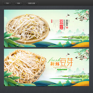 豆芽