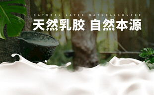 乳胶收割