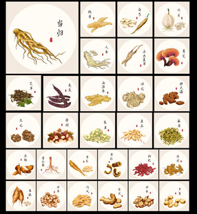 中药材图片