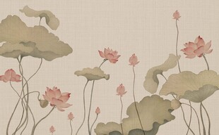 荷花工笔画 