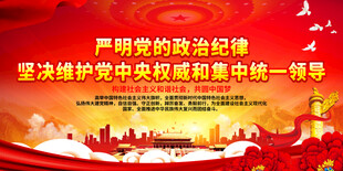 严明党的政治纪律