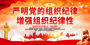 严明党的组织纪律