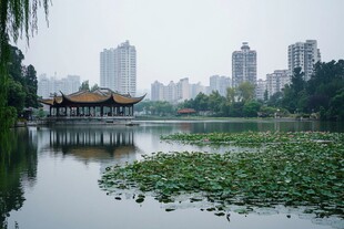 翠湖风光翠湖花园