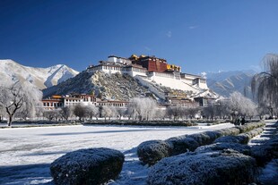 冬季晴天的布达拉宫