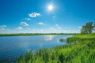 阳光草地湖岸