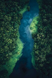 俯视森林河流湿地