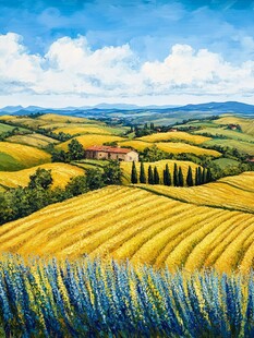 色彩农田自然风光