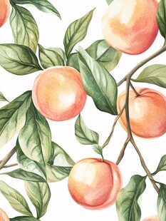 插画水蜜桃