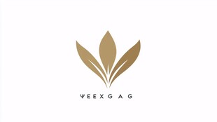 ve翅膀logo