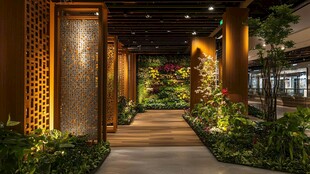 室内花卉展内景