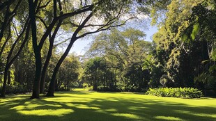 康提皇家植物园