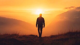 向着阳光行走的人