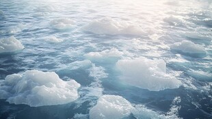海面积冰