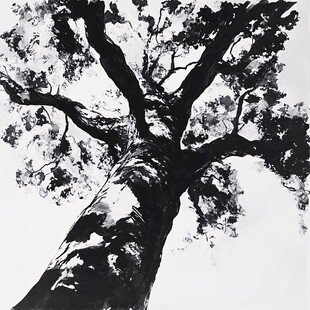 大树黑白照