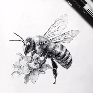 高清手绘蜜蜂