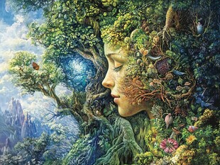 梦幻森林立体画