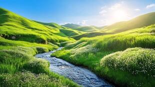 阳光草地溪流