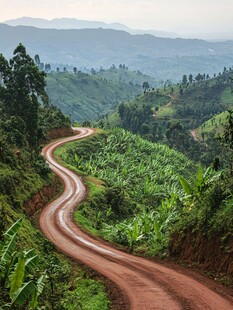 梯田产业果树马路