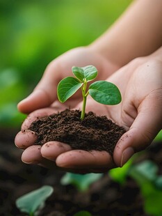 手托小植物