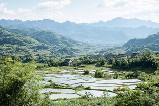 阳安田园风光