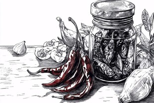 辣椒插画场景图