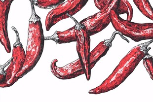 辣椒插画场景图