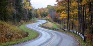 路上秋色图片素材下载