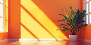 黄色室内暖光太阳光