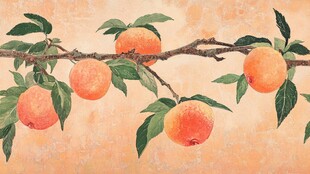 手绘黄桃壁纸