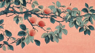 红墙古风艺术插画