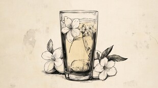 花茶插画设计