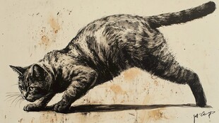 绘画作品猫插画