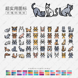 猫