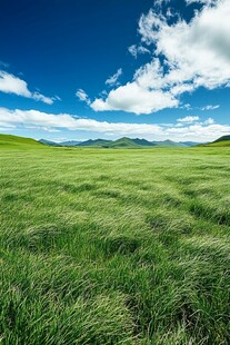 高清唯美草原背景