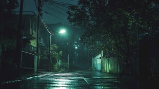 夜景梅雨季